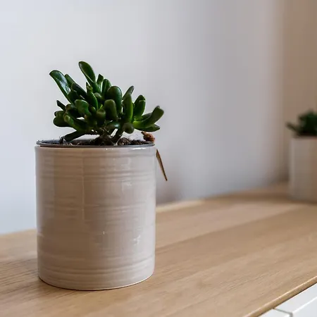 Tauron Arena Chic Studio *