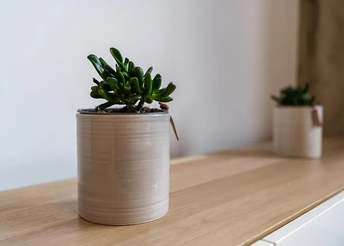 Tauron Arena Chic Studio *