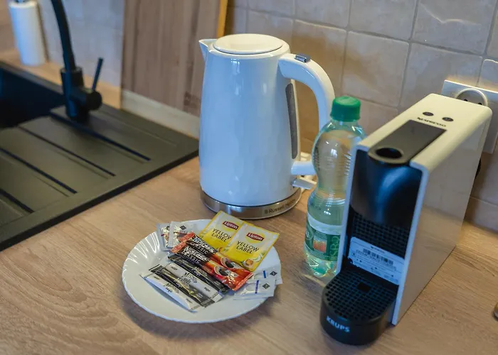 아파트 Tauron Arena Chic Studio 크라쿠프